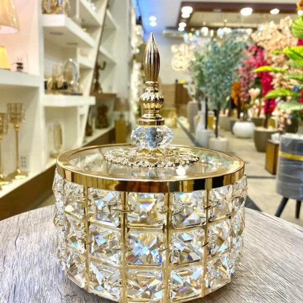 IMG_20250203_152431_664